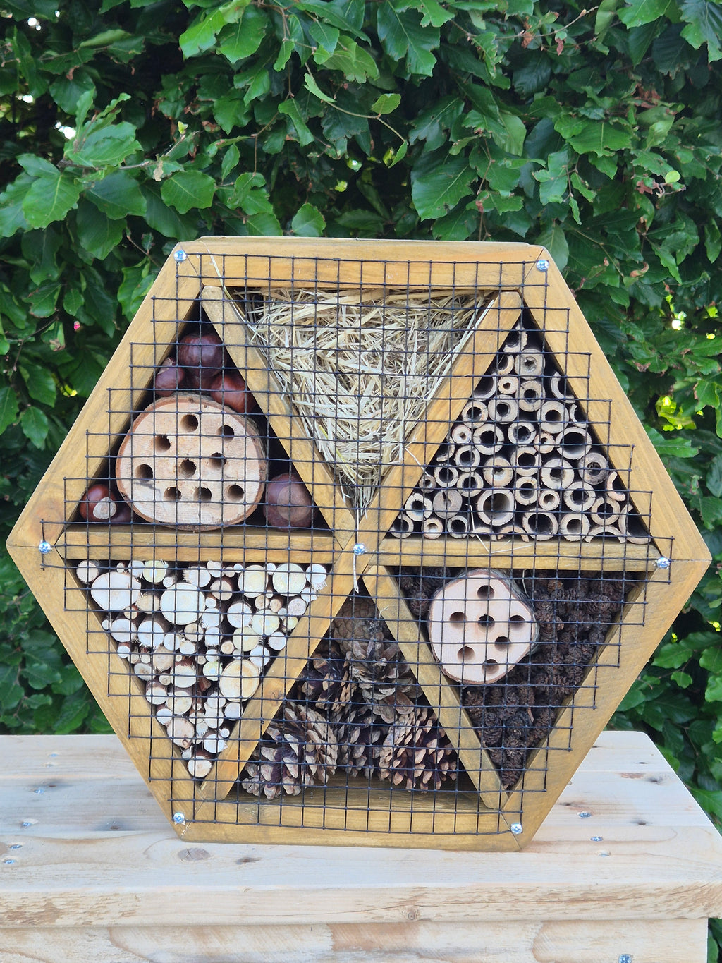 Insectenhotel Hexa Hoeve NIEUW!