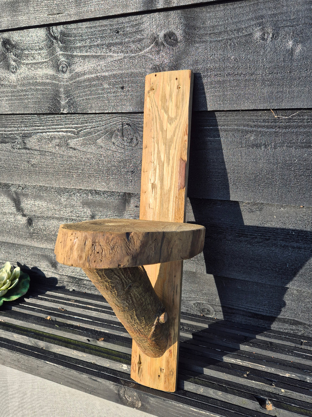 Boomstam wandplank