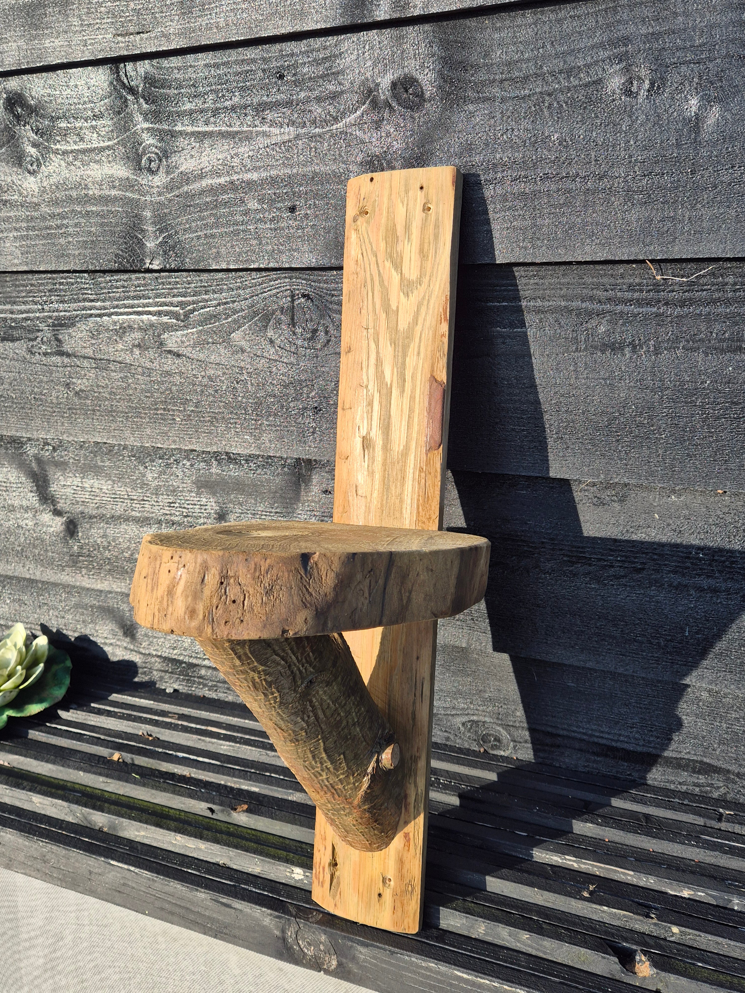 Boomstam wandplank