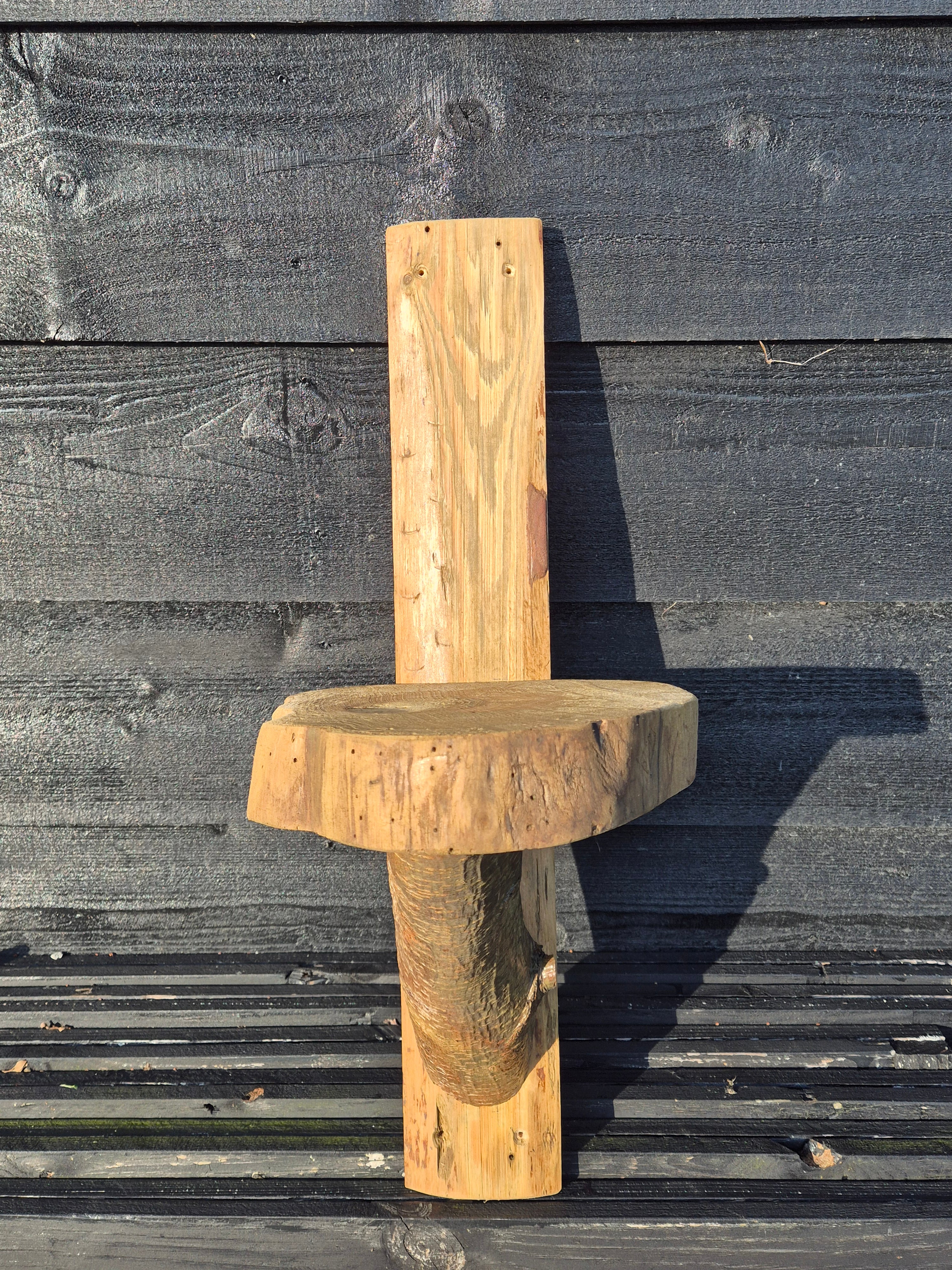 Boomstam wandplank