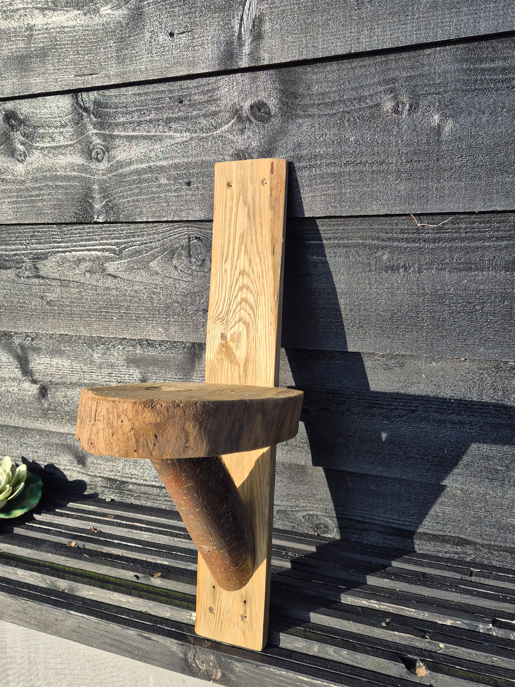 Boomstam wandplank