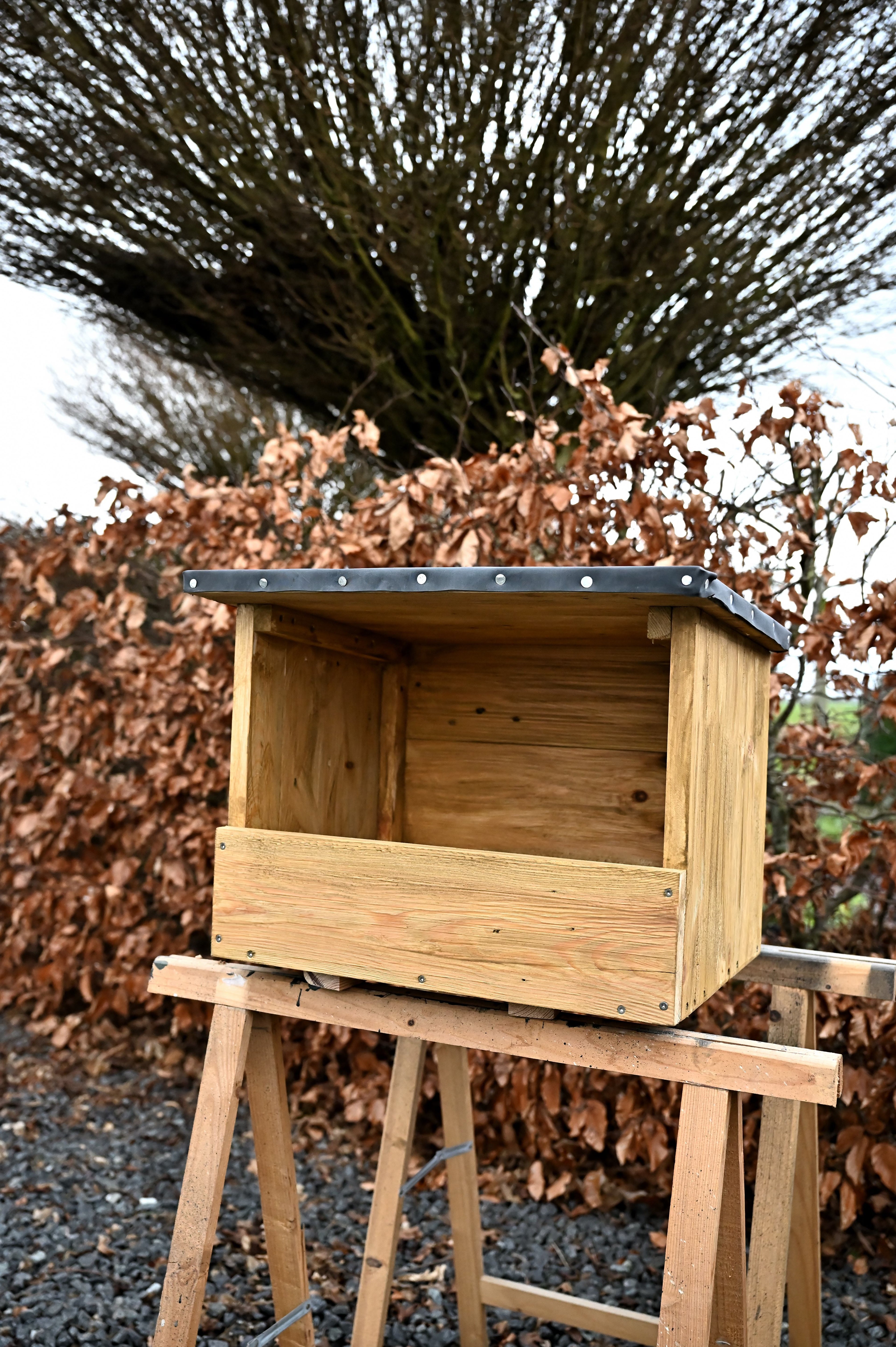 Nestkast Torenvalk